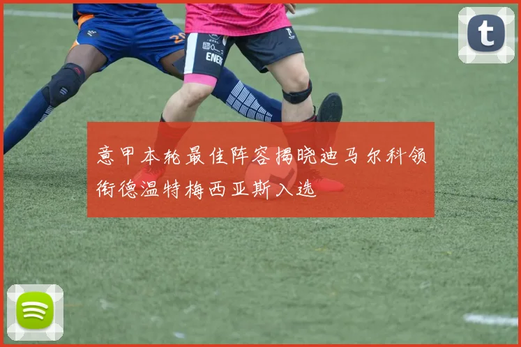 意甲本轮最佳阵容揭晓迪马尔科领衔德温特梅西亚斯入选
